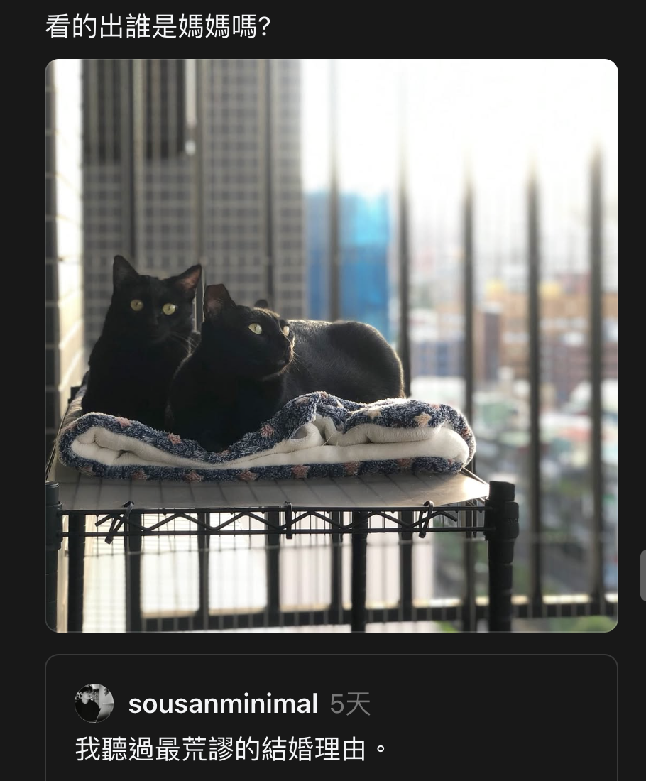單純貓照貼文近 30 天成績:296 瀏覽、0 讚、0 回覆